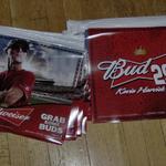 bud harvick pennant-20'-$10.00